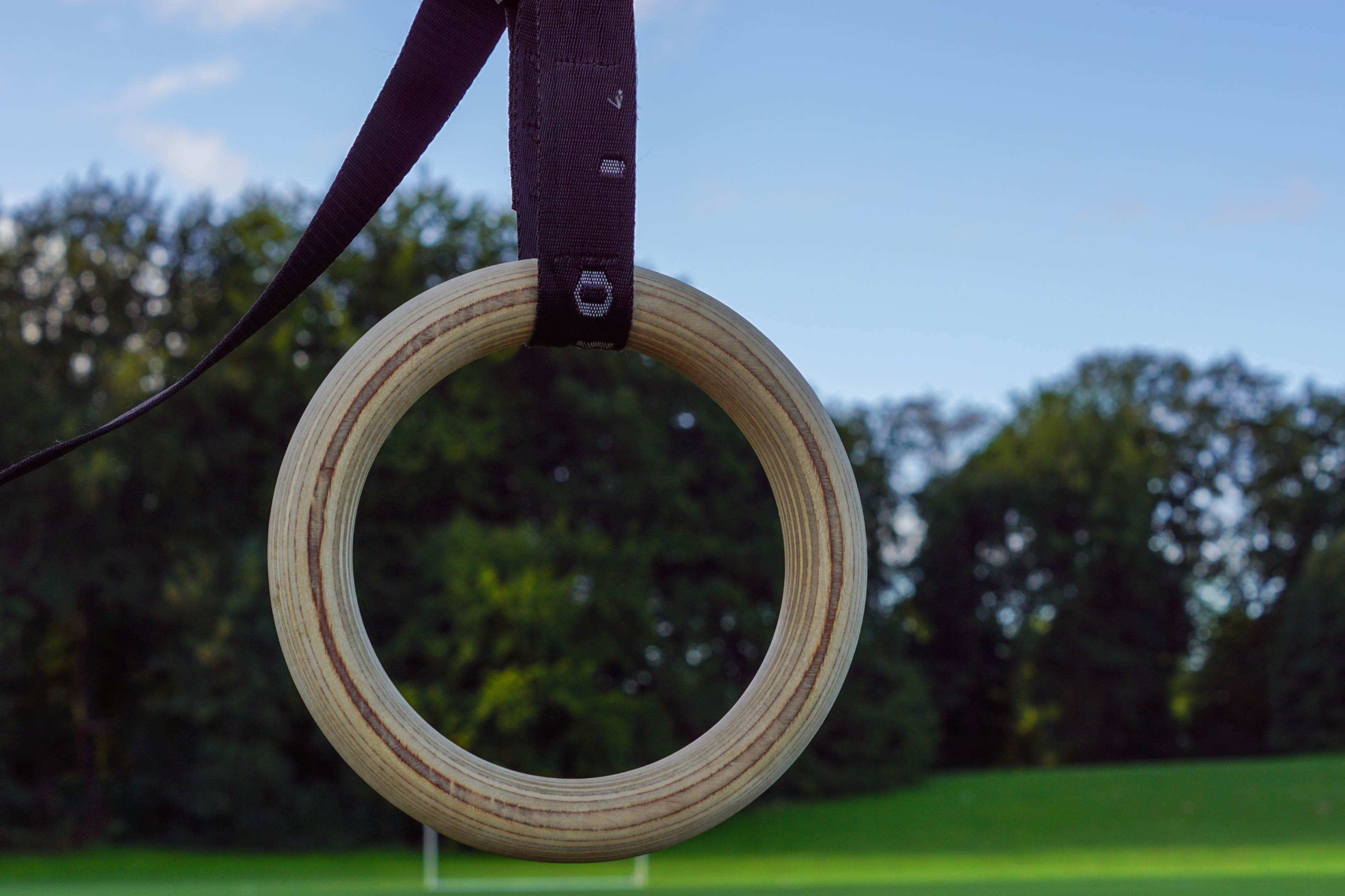 turnringe gym rings wald