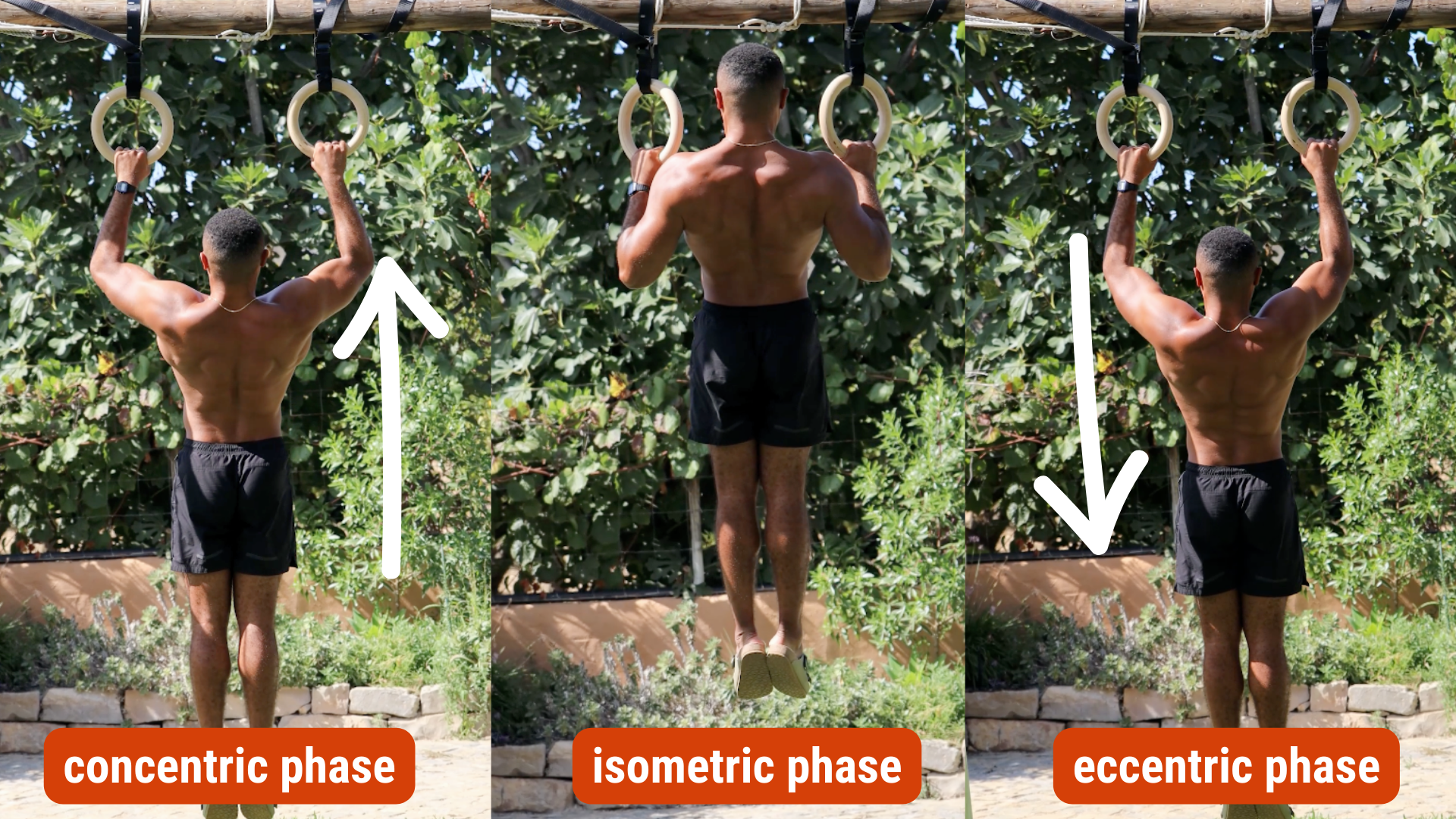 eccentric concentric pull ups.png