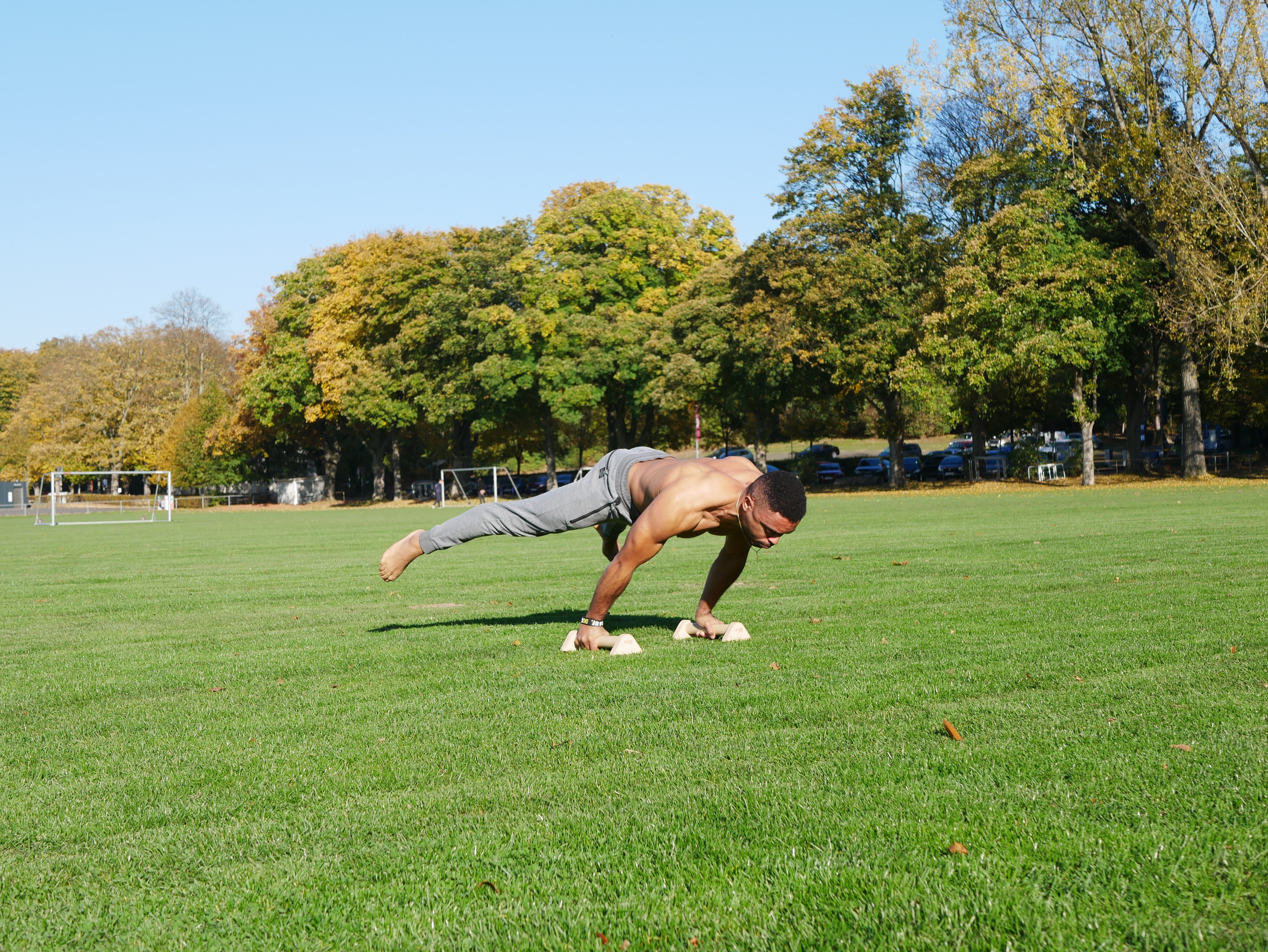 Marcos Planche Parallettes Wiese.JPG