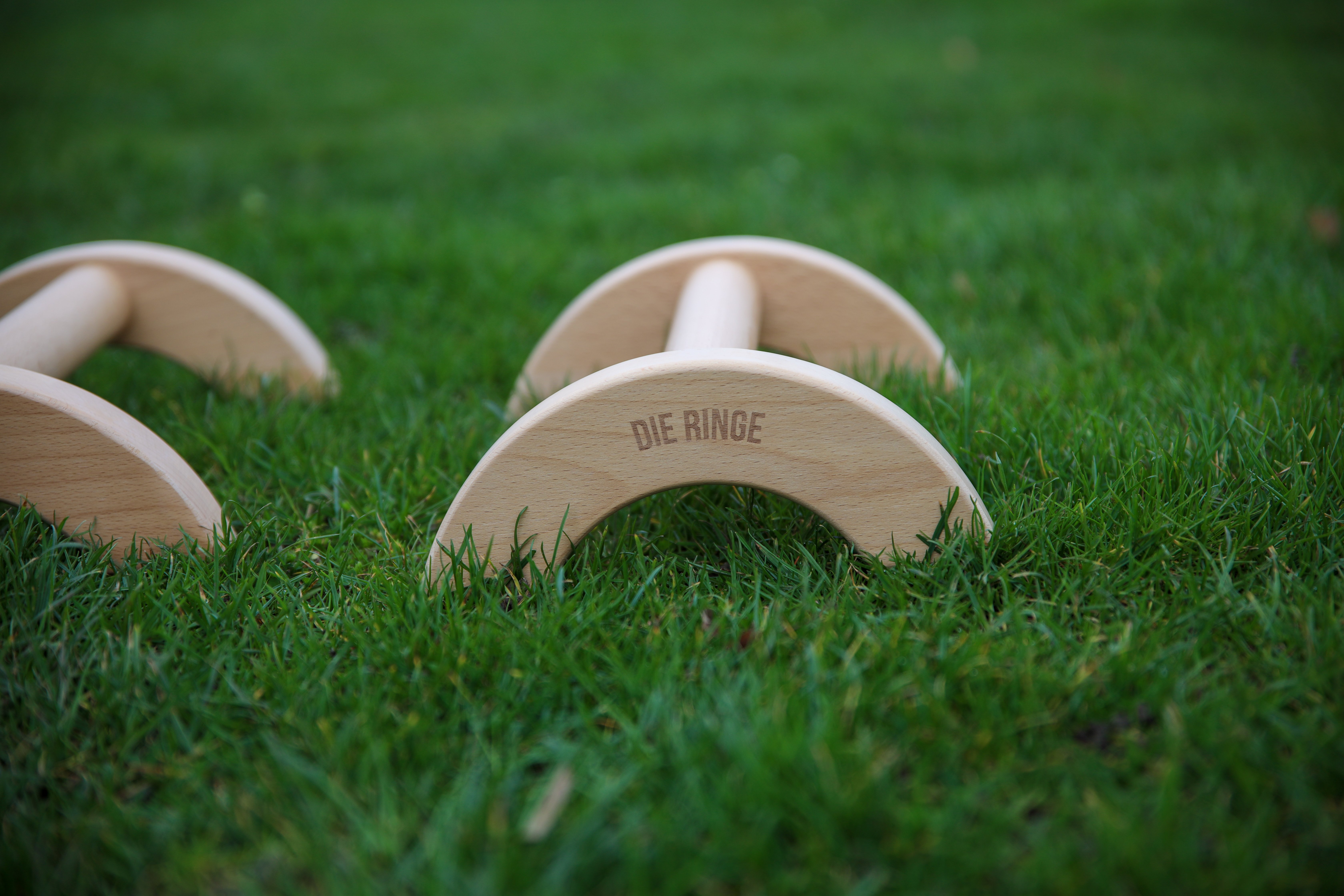 parallettes die ringe nahaufnahme wiese.jpg