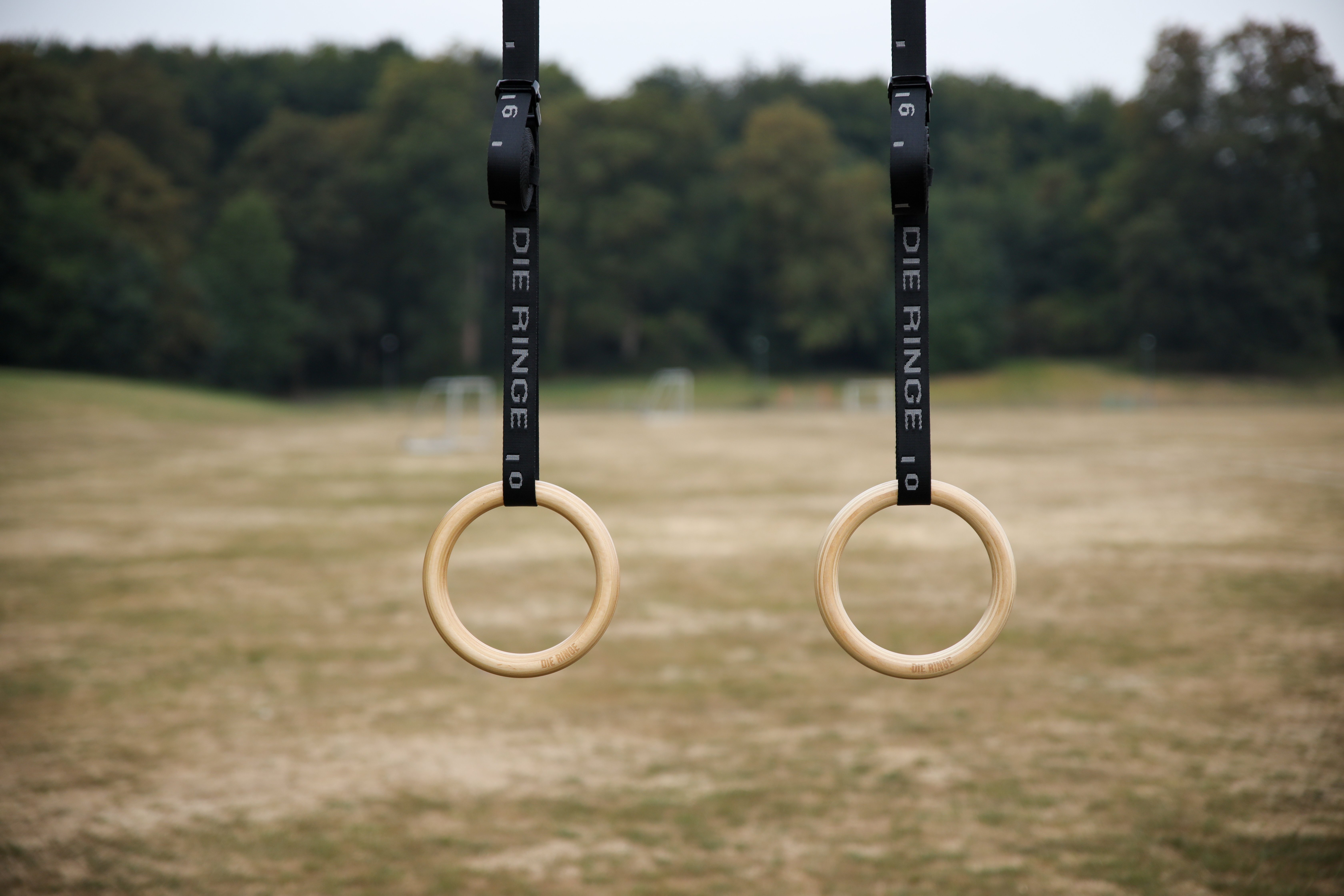DIE RINGE Essential Holzturnringe